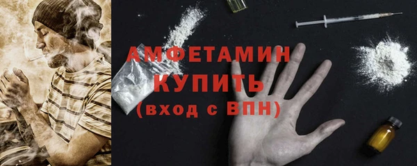 шишки Алексин