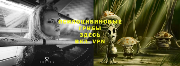шишки Алексин