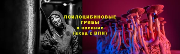 таблы Алзамай