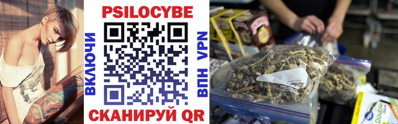 Псилоцибиновые грибы мицелий Новосиль